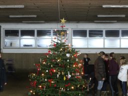 img_0681_web